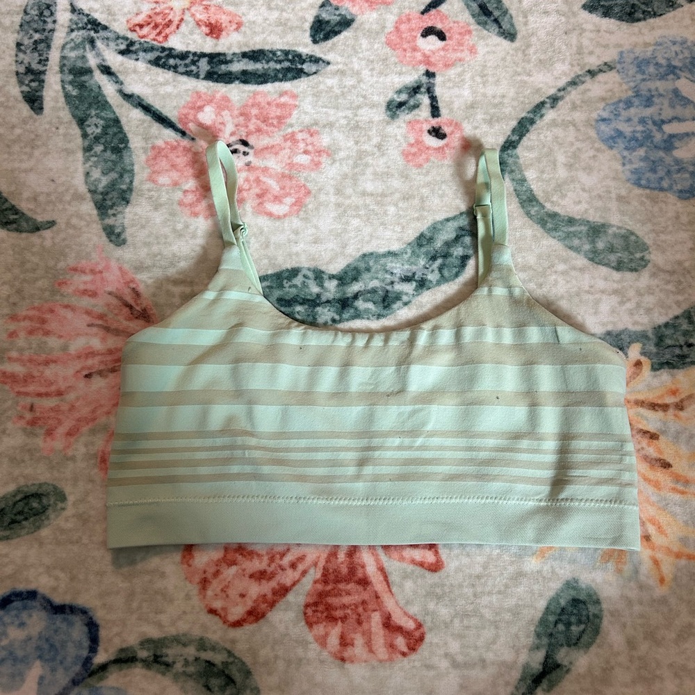 Aerie Mint Green Striped Bra
